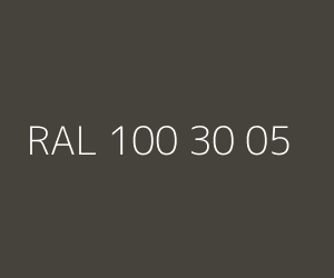 Kleur RAL 100 30 05 