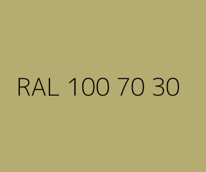 Kleur RAL 100 70 30 