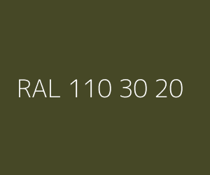 Kleur RAL 110 30 20 