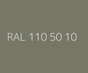Kleur RAL 110 50 10 