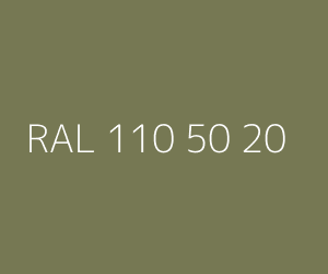 Kleur RAL 110 50 20 