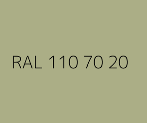 Kleur RAL 110 70 20 