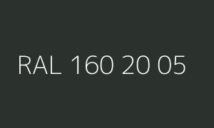 Kleur RAL 160 20 05