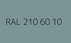 Kleur RAL 210 60 10
