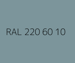 Kleur RAL 220 60 10 