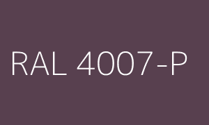 Kleur RAL 4007-P
