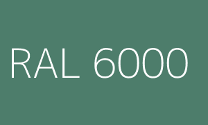 Kleur RAL 6000