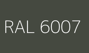 Kleur RAL 6007