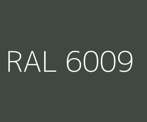 Kleur RAL 6009 DENNENGROEN