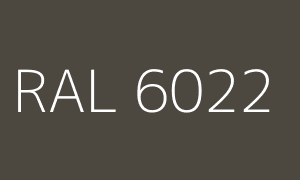 Kleur RAL 6022
