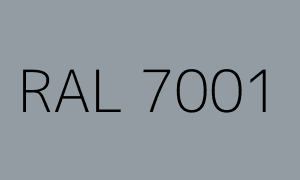 Kleur RAL 7001