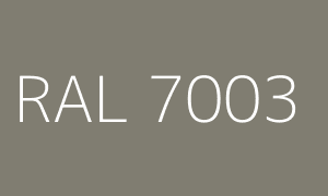 Kleur RAL 7003