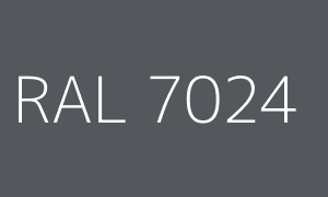 Kleur RAL 7024