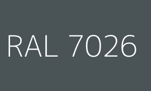 Kleur RAL 7026